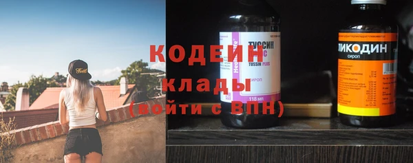 индика Бронницы