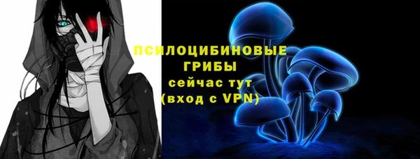 таблы Бородино