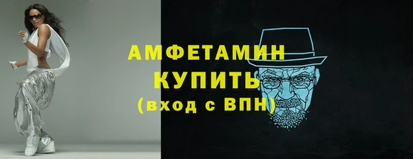 индика Бронницы
