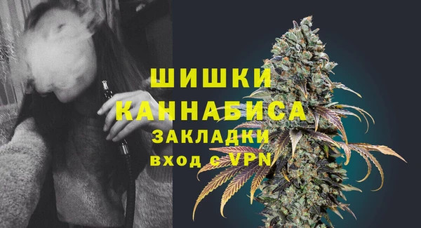 таблы Бородино