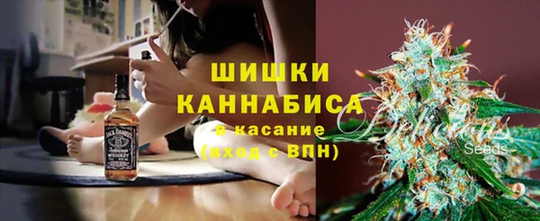 ПСИЛОЦИБИНОВЫЕ ГРИБЫ Богданович