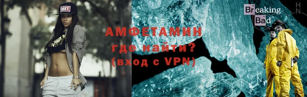 индика Бронницы
