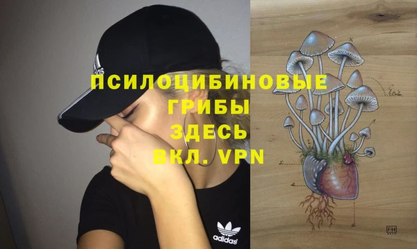 таблы Бородино