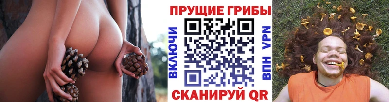 где продают   это состав  mega как войти  Псилоцибиновые грибы Magic Shrooms  Вятские Поляны 